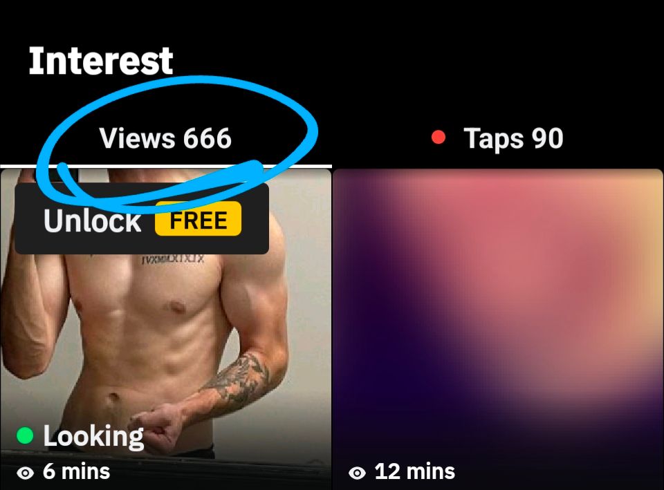A screenshot from Grindr that reads: 

Interest

Views 666

Taps 90

Unlock FREE

IVXMAXIXIX

Looking

6 mins

12 mins


666 is circled