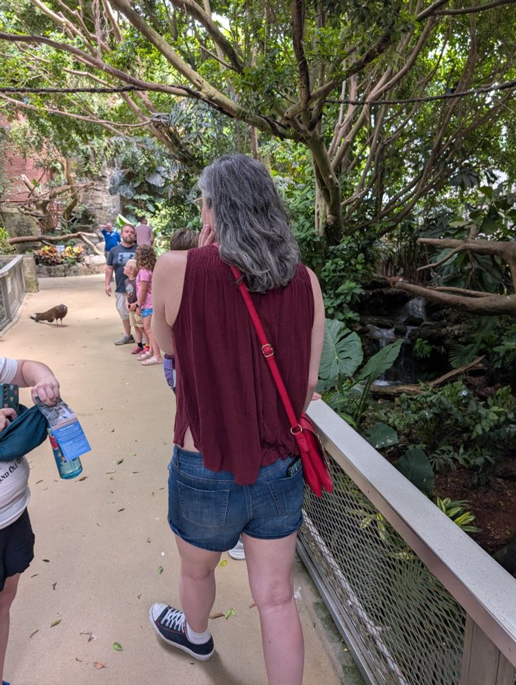 My girlfriend, Kylie, smitten with the sight of a big bird at the National Aviary 