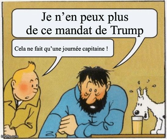 Capitaine Haddock : « je n’en peux plus de ce mandat de Trump »
Tintin : « cela ne fait qu’une journée capitaine ! »