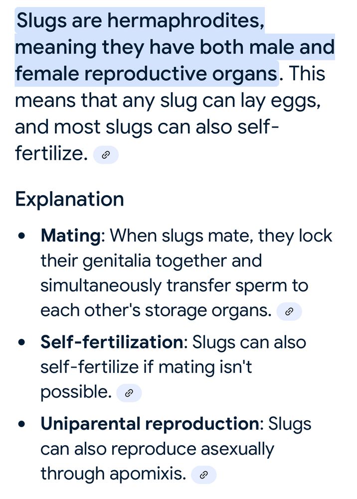 Definitions of slugs as hermaphrodites, who can self-fertilize or transfer sperm to each other. 