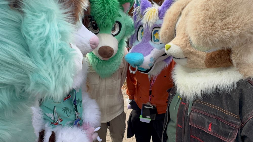 5 suites from previous photo huddled in a circle 