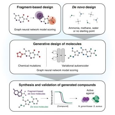 A generative AI platform is developed for de novo antibiotic design, yielding lead
compounds with selective antibacterial activity, distinct mechanisms of action, and
in vivo efficacy against multidru...