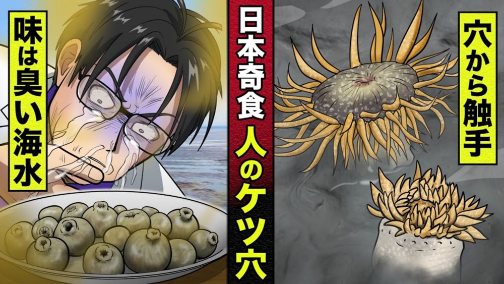 【日本の奇食】人のケツの穴。味は強烈に臭い海水、穴から触手まで伸びる奇怪生物に鬼頭丈二も負ける？