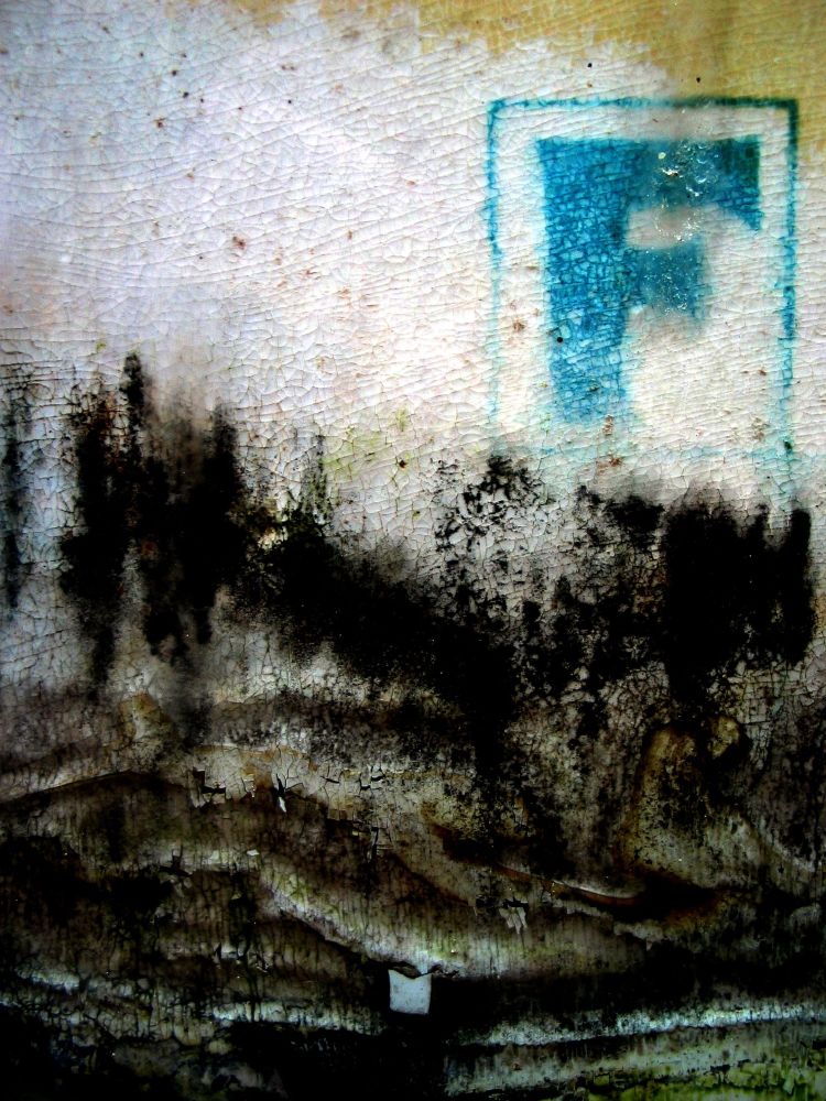a curtain of black mold eats away at a disintegrating, crackling poster
