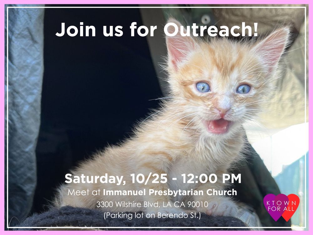 Light orange tabby kitten with light blue eyes is mid meowing. The picture is bordered with a thick light pink and a thin white line with the text “Join us for outreach!” on the middle top of the photo and “Saturday, 10/25 - 12:00 PM Meet at Immanuel Presbyterian Church 3300 Wilshire Blvd, LA CA 90010 (Parking lot on Berendo St.)” on the middle bottom of the photo. There is an icon of overlapping purple and red heart with “KTOWN FOR ALL” in white letters centered on the overlapping hearts on the right bottom corner of the photo.