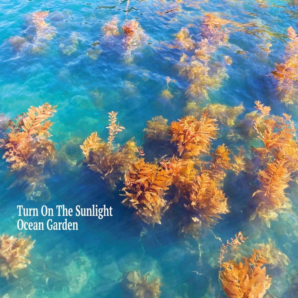 Turn On the Sunlightの「Ocean Garden」をApple Musicで