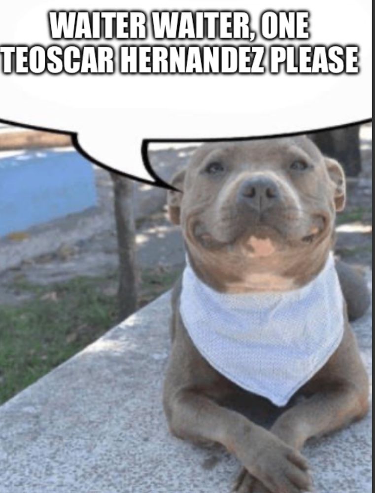 A dog sitting politely with a bib and a speech bubble that says “Waiter waiter, one teoscar hernandez please”