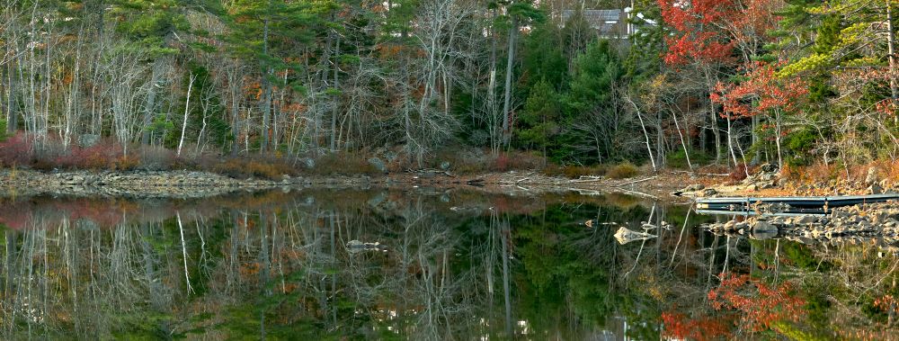 Panoramic view of an inlet, the waterline cuts across the middle of the image. On the right is a stand of trees with a red maple that reflects in the water. On the left many of the leaves have fallen, revealing structure in the woodland that is reflected in the water.