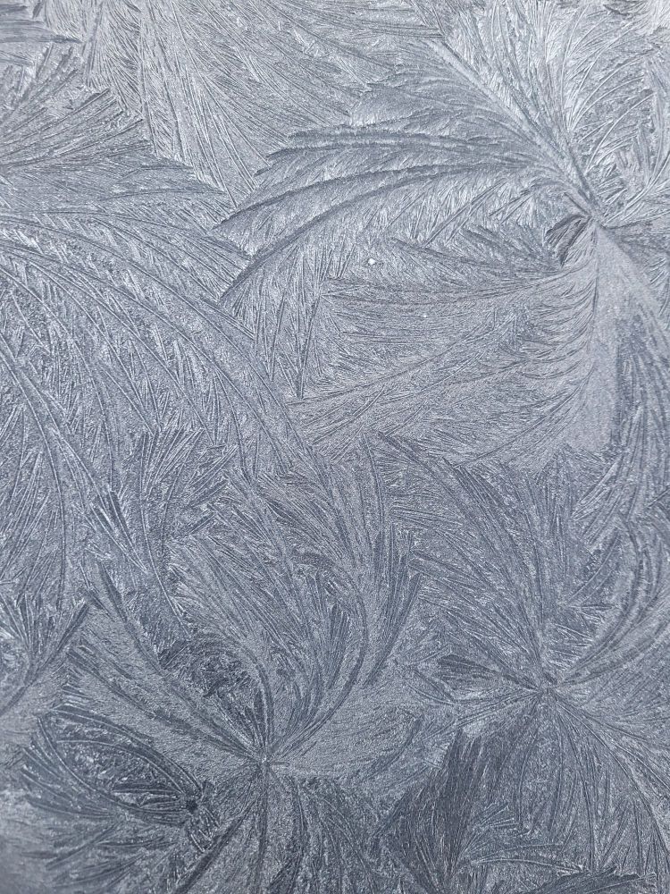 Featherlike fronds of ice criss-cross on an ice-covered surface. The pattern is random and yet strangely organized.