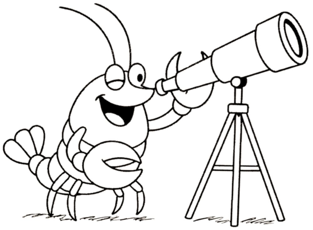 A happy lobster is looking through a telescope. One eye is closed while the other squints through the eyepiece of the telescope.