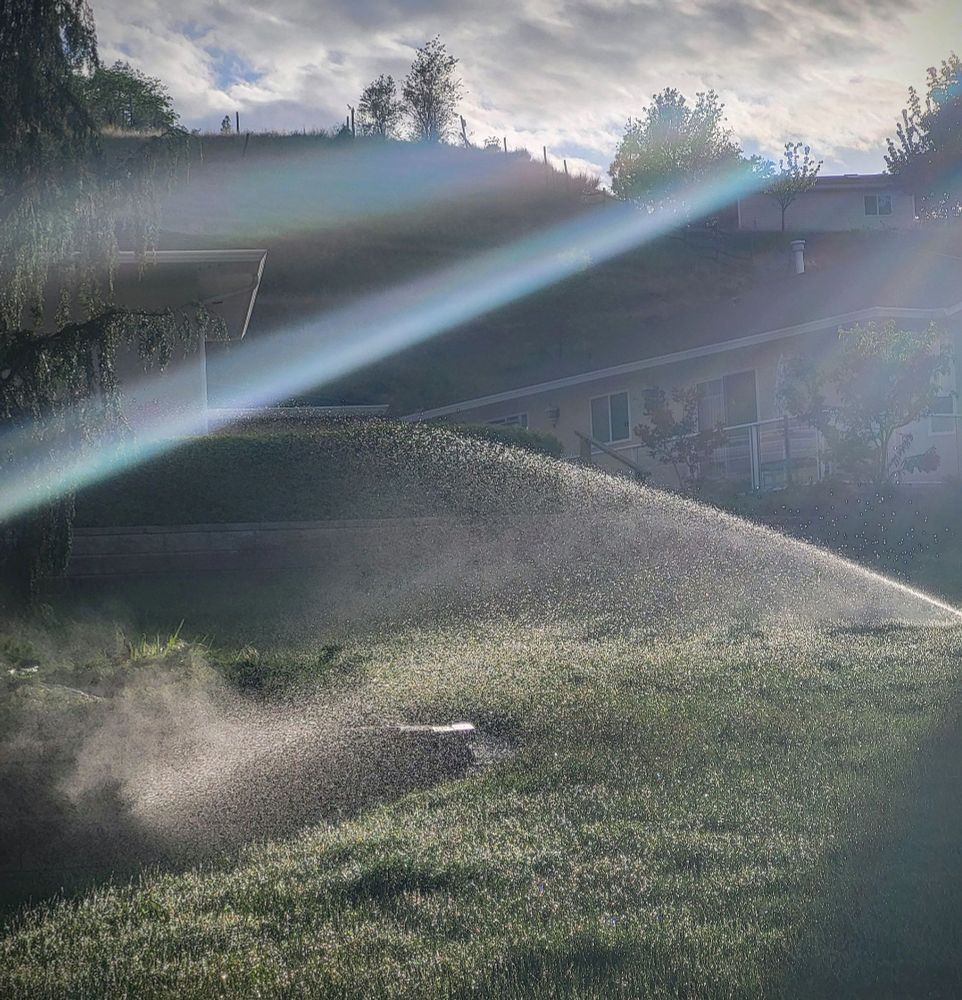 Looking towards a house two sprinklers send out streams of water that are backlit by the sun. In the upper right of the image an optical flare from the sun streaks across to the mid left of the image.