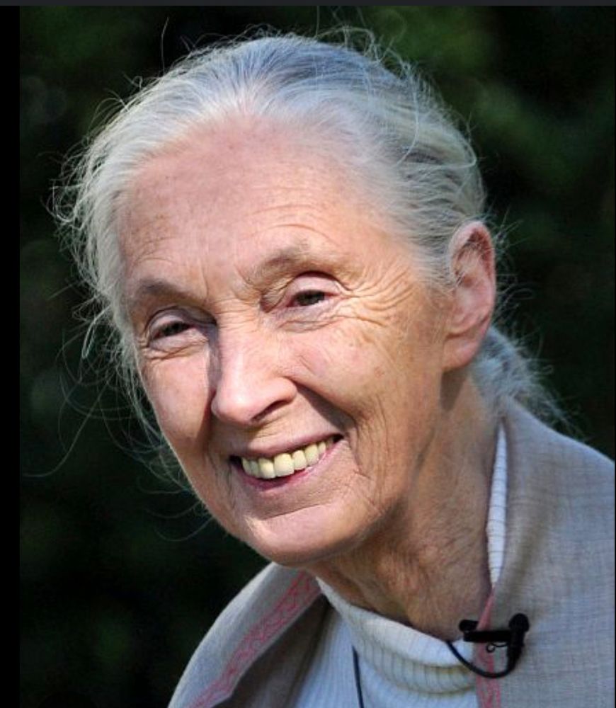 Smiling image of Jane Goodall