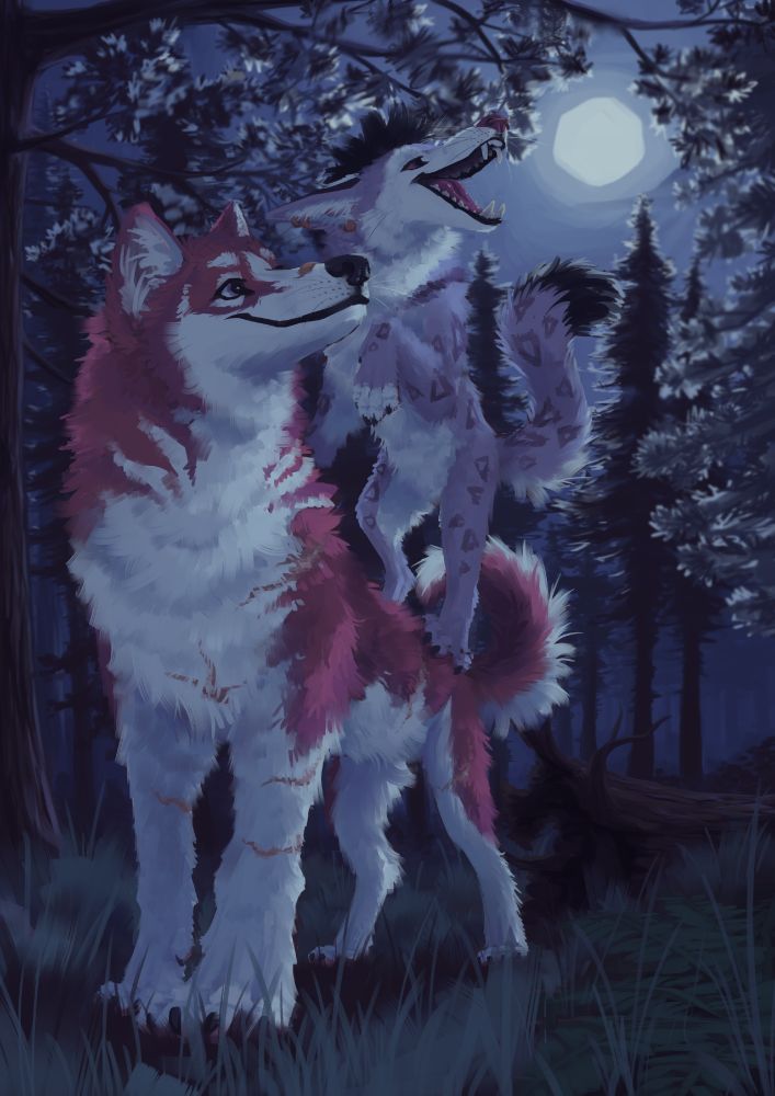 husky and coyote snow leopard hybrid reaching up to steal the full moon
