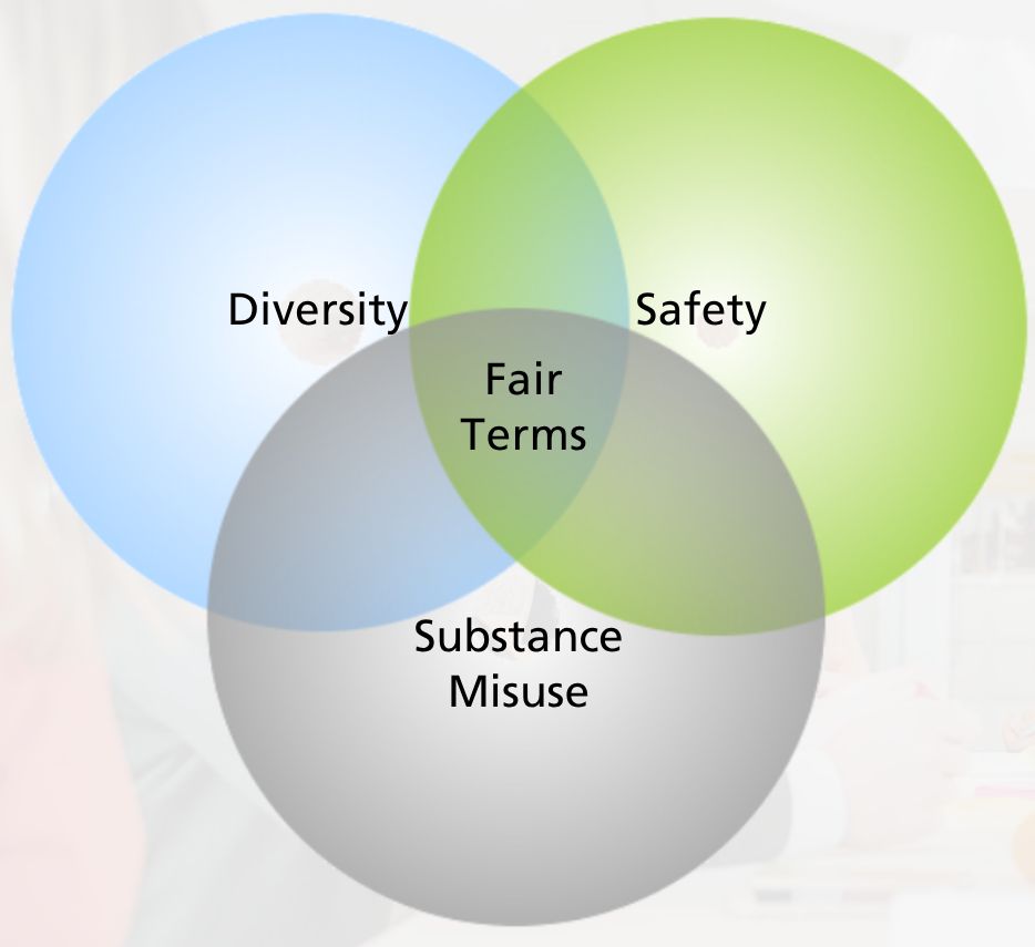 Diversity, Safety, Substance Misuse