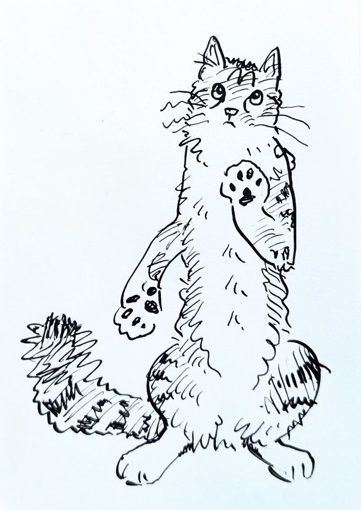 A pen sketch of Lulu, a fluffy tabby cat with white spotting, standing on her hind legs and holding one paw up and the other out. She has a silly expression on her face and her body is long and slender