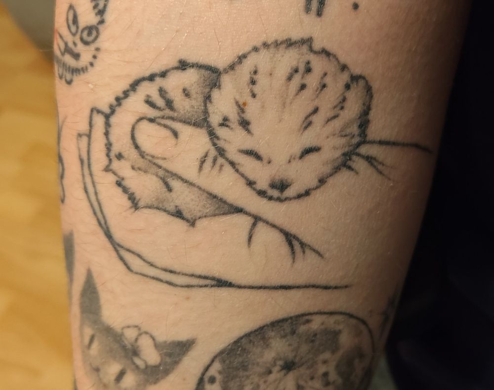 a black line tattoo of a day old kitten held in a palm of hand