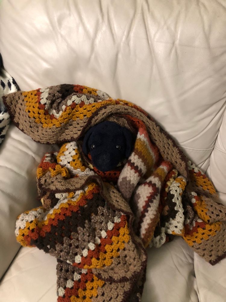 Gonzo (a black Labrador plushie) on the sofa wrapped up in an autumn coloured crochet blanket with just his head sticking out. He’s so cozy and looking down the camera at u. 