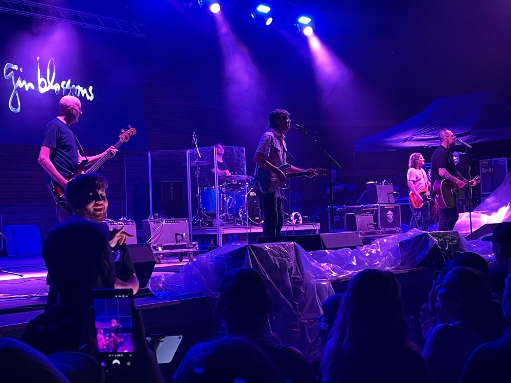 Gin Blossoms live in concert
