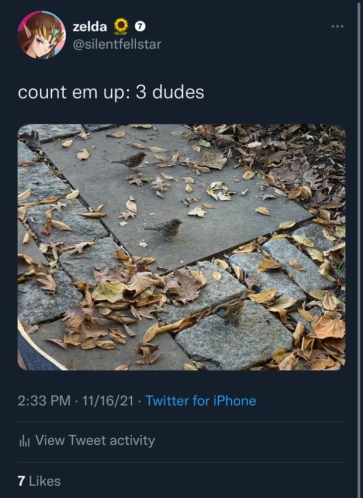 count em up: 3 dudes

image: 3 small birds