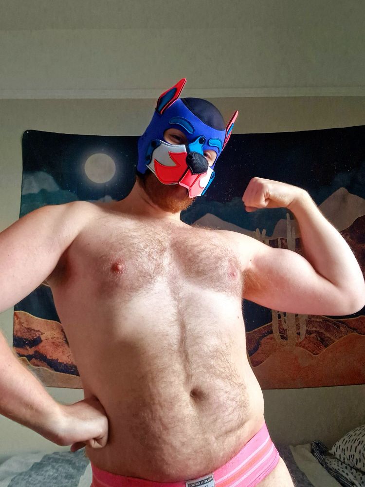 Me in a new pup hood that's colored royal blue with pink and aqua accents, as well as a pink jockstrap , flexing for the camera 
