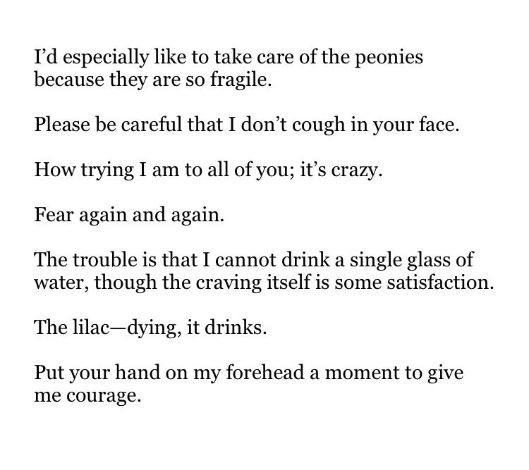 I’d especially like to take care of the peonies because they are so fragile.

Please be careful that I don’t cough in your face.

How trying I am to all of you; it’s crazy.

Fear again and again.

The trouble is that I cannot drink a single glass of water, though the craving itself is some satisfaction.

The lilac—dying, it drinks.

Put your hand on my forehead a moment to give me courage.