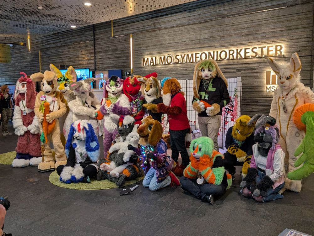 Bunny and rabit fursuiters