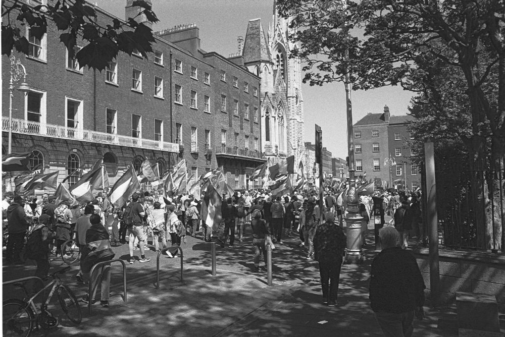 Photos of a Palestine Rally