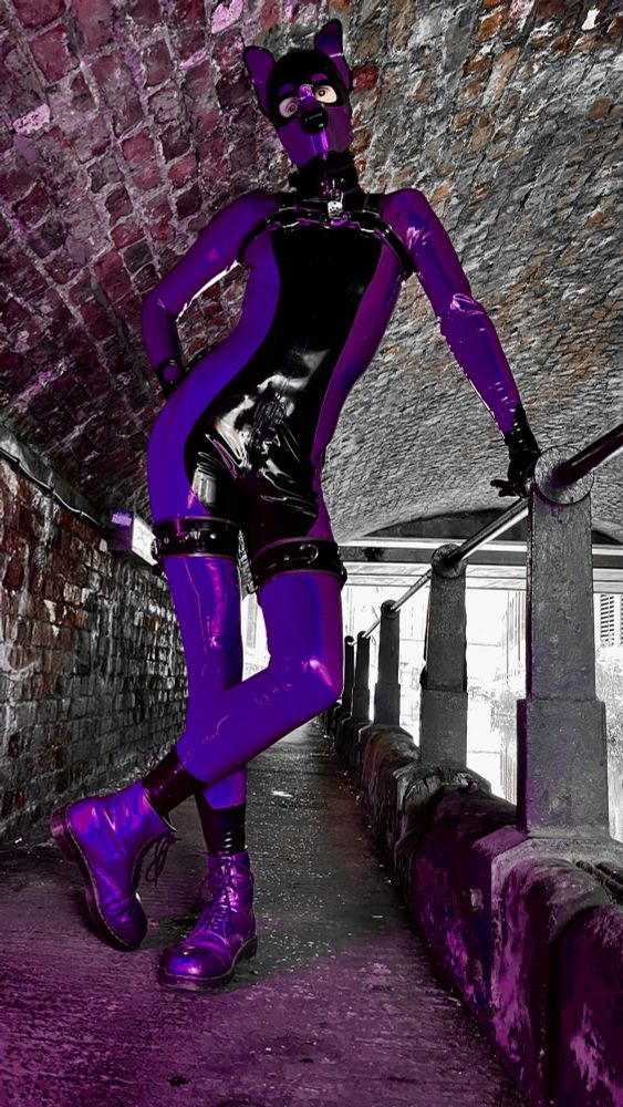 Pup Styra leaning casually against a railing under a canal bridge.  They are in their iconic purple and black latex.