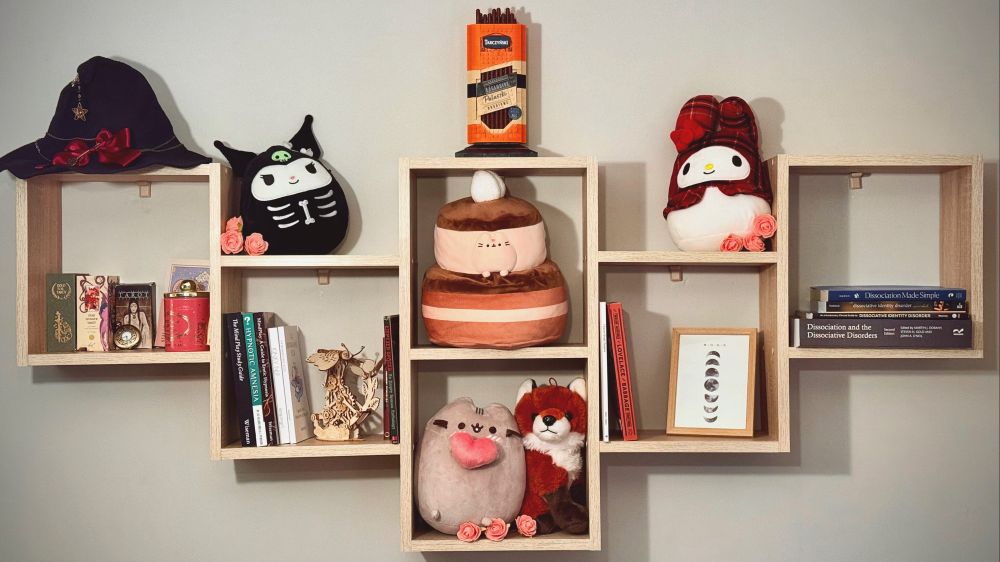 A 6-partition shelf featuring:

1. A bunch of Tarot sets, a pocketwatch, and a scented candle. On top is a witch hat.
2. Books on hypnosis and Emptied Spaces. On top is a plushie.
3. and 4. Plushies of Pusheen and a Fox
5. the Thrilling adventures of Lovelace and Babbage, a Clojure book, and a little frame with moon phases
6. A stack of books on dissociation and DID