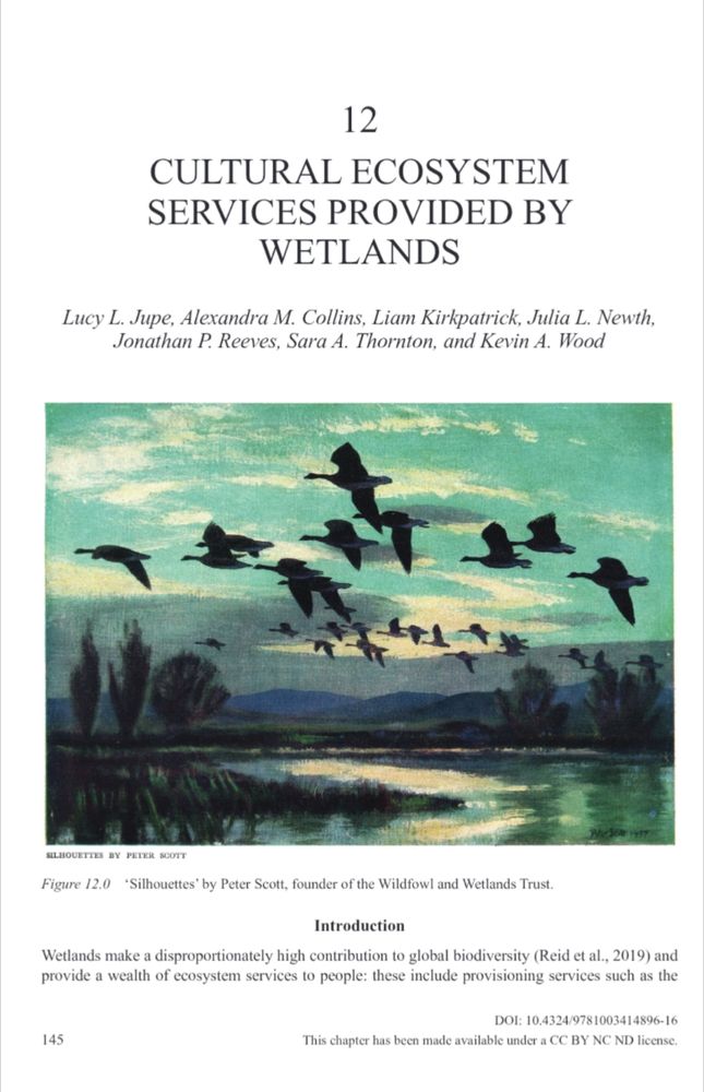 Image of chapter with wetland painting 