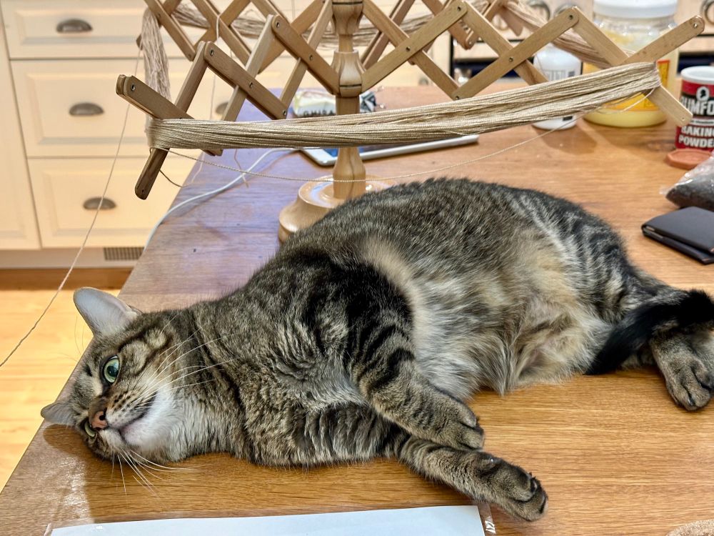 A brown striped cat lying next to a yarn swift loaded with bronze colored yarn. 