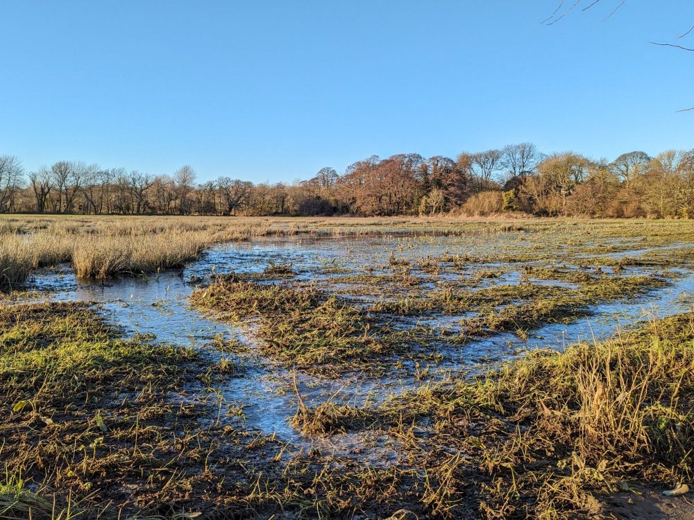 Shallow water amongst the old water meadows, blue amongst the winter olive green. Good conditions for feeding snipe if there are any nearby.