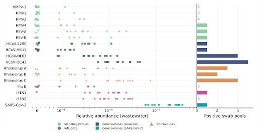 Chart of 1) relative abundance of various viruses in wastewater and 2) positive swab pools of those same viruses