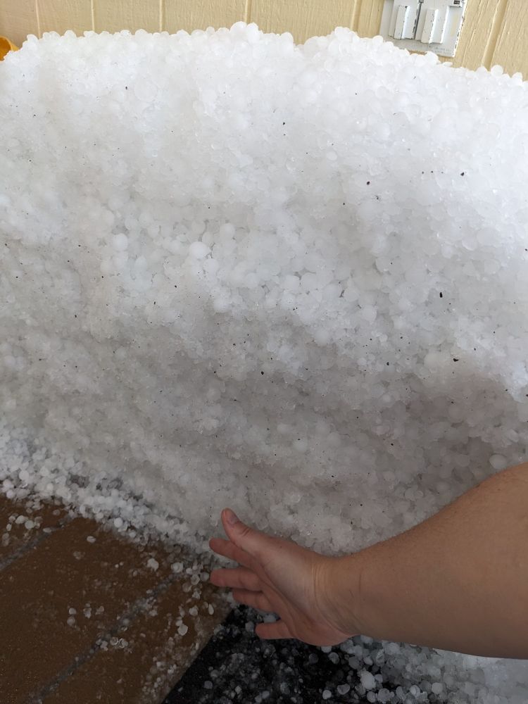 A large pile of pea-sized hail being measured by an arm