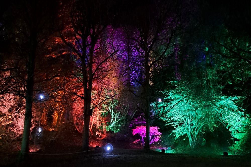 Parc de Saint cloud de nuit avec arbres colorés de lumières