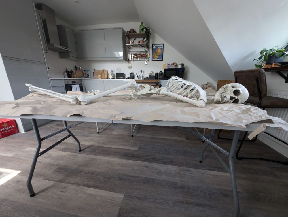 A prop skeleton lying face-down on a fold-up table in a kitchen space. 
