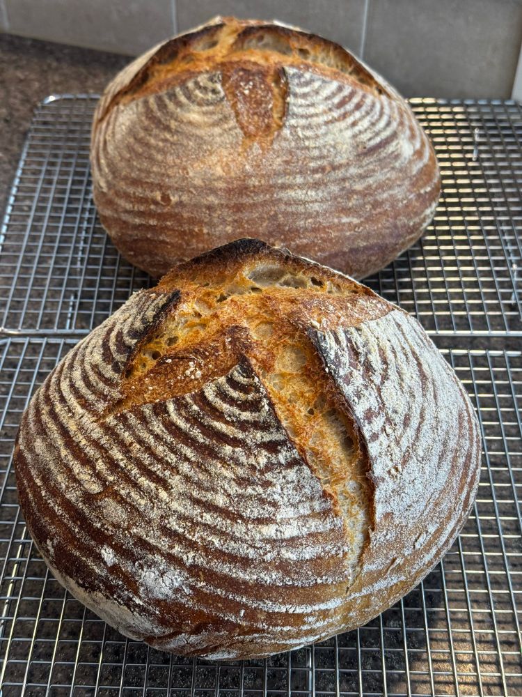 Two sourdough boules cooling on wire racks on a counter. The bannetons have left concentric circles of rice flour on them.