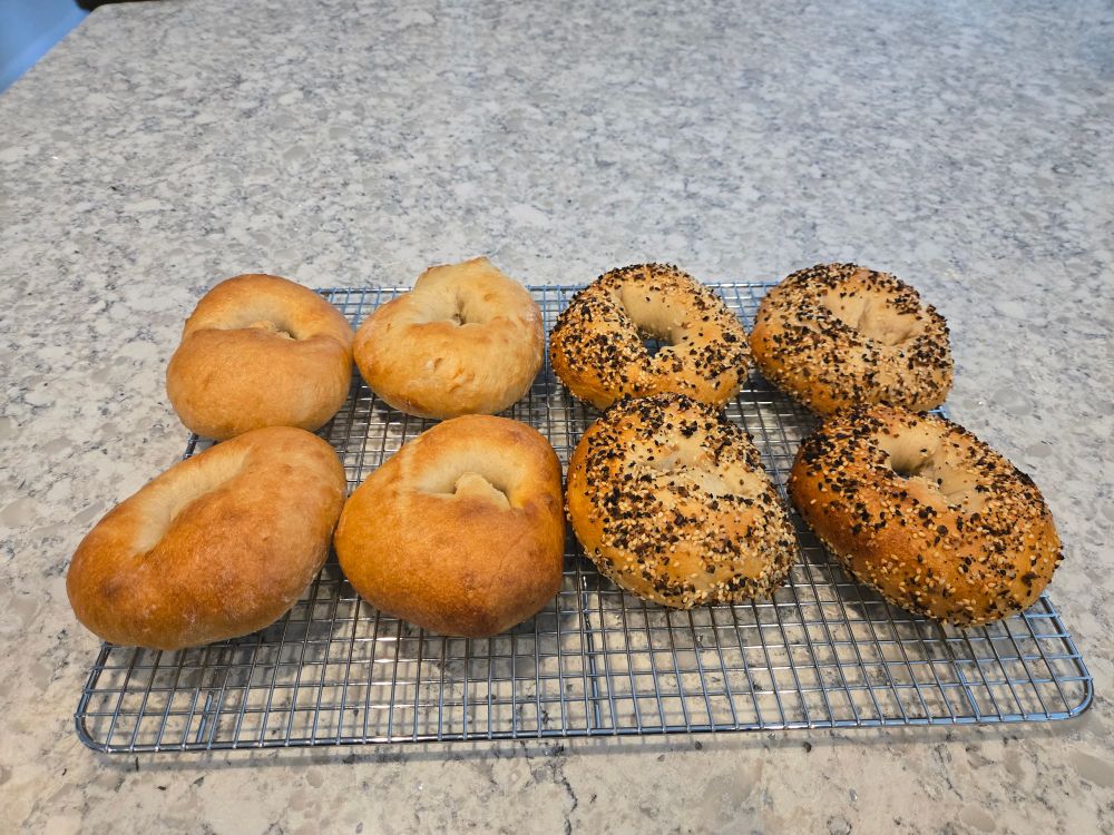 A coming rack with 8 bagels on it. Half are everything. 