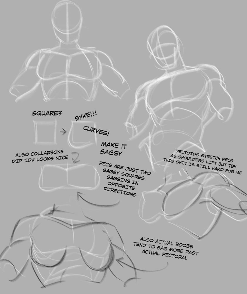 Various basic figure sketches of chests at a couple angles.
A drawn square labelled "square?" then pointing to a drawn square with some additional 'sag' drawn over the lines, giving it a slight weight and labelled "Syke! Curves! Make it saggy!" 
Underneath, two squares drawn over to make a pair of pectoral muscles, labelled "also collarbone dip, idk, looks nice" and "pecs are just two saggy squares sagging in opposite directions."
A 3/4 angles of a chest sketch with a slightly raised arm is labelled "deltoids stretch pecs as shoulder sleft but tbh this shit is still hard for me" and a final sketch of a chest with breasts at the bottom is labelled "also actual boobs tend to sag more past the actual pectoral".