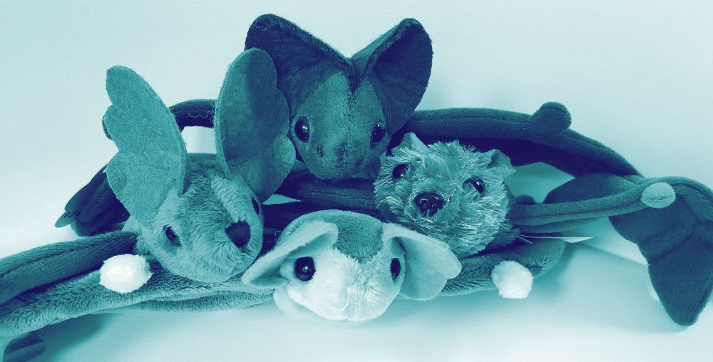 Adopt-a-Bat - Bat Conservation International