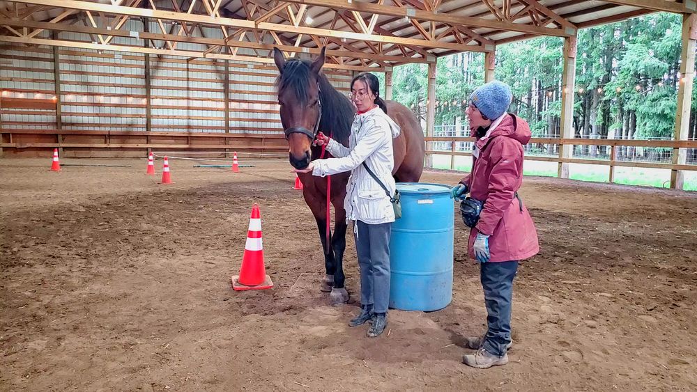 Ben's handler learns to feed him in the correct position to help his manners.  