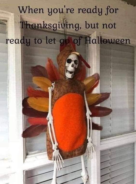 Thanksgiving decoration: a turkey costume over a Halloween skeleton:

When you're ready for Thanksgiving but not ready to let go of Halloween