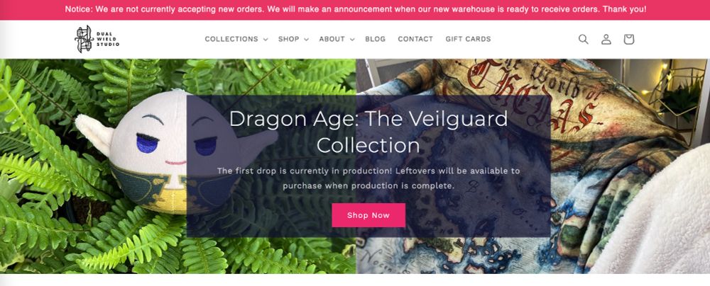 A screenshot of the Dual Wield Studio website.