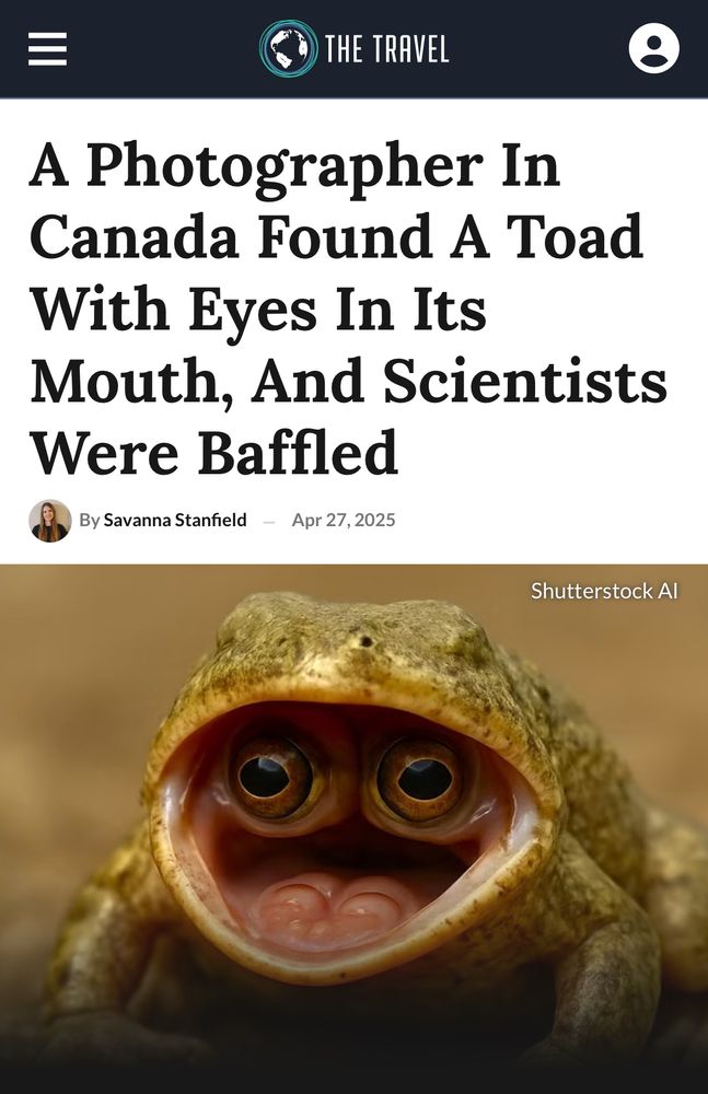 An article about a photograph that leads with an AI-generated version of it. 