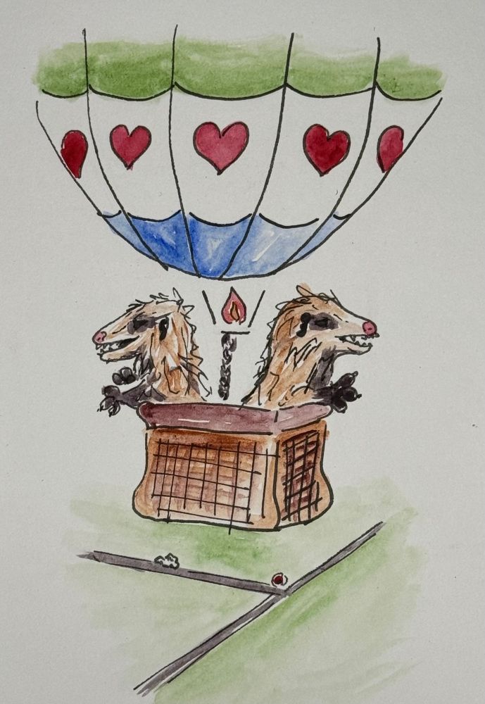Two opossums are in the basket of a hot air balloon up in the air. There are hearts on the hot air balloon. 