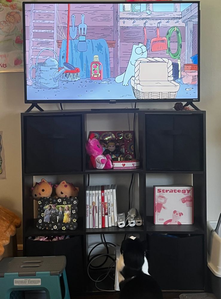 Tuxedo cat “Theo” watching an episode of animated show Simon’s Cat on the TV