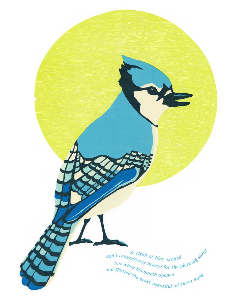 A blue jay bird with its beak open in front of a large yellow-green circle. The waiving text underneath reads:

A flash of blue landed
and I instinctively braced for the piercing shrill
but when his mouth opened
out floated the most beautiful whisper song