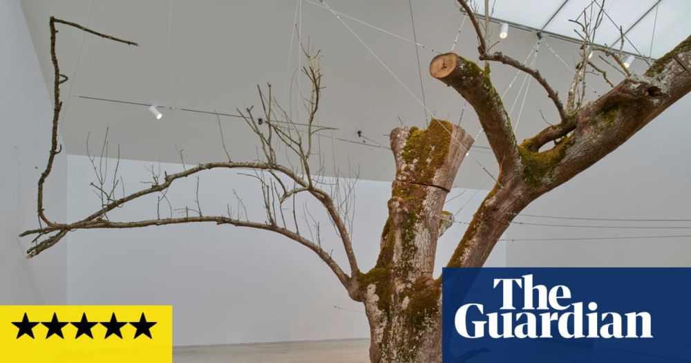 Anya Gallaccio: Preserve review – catch this show before its dazzling splendours decay