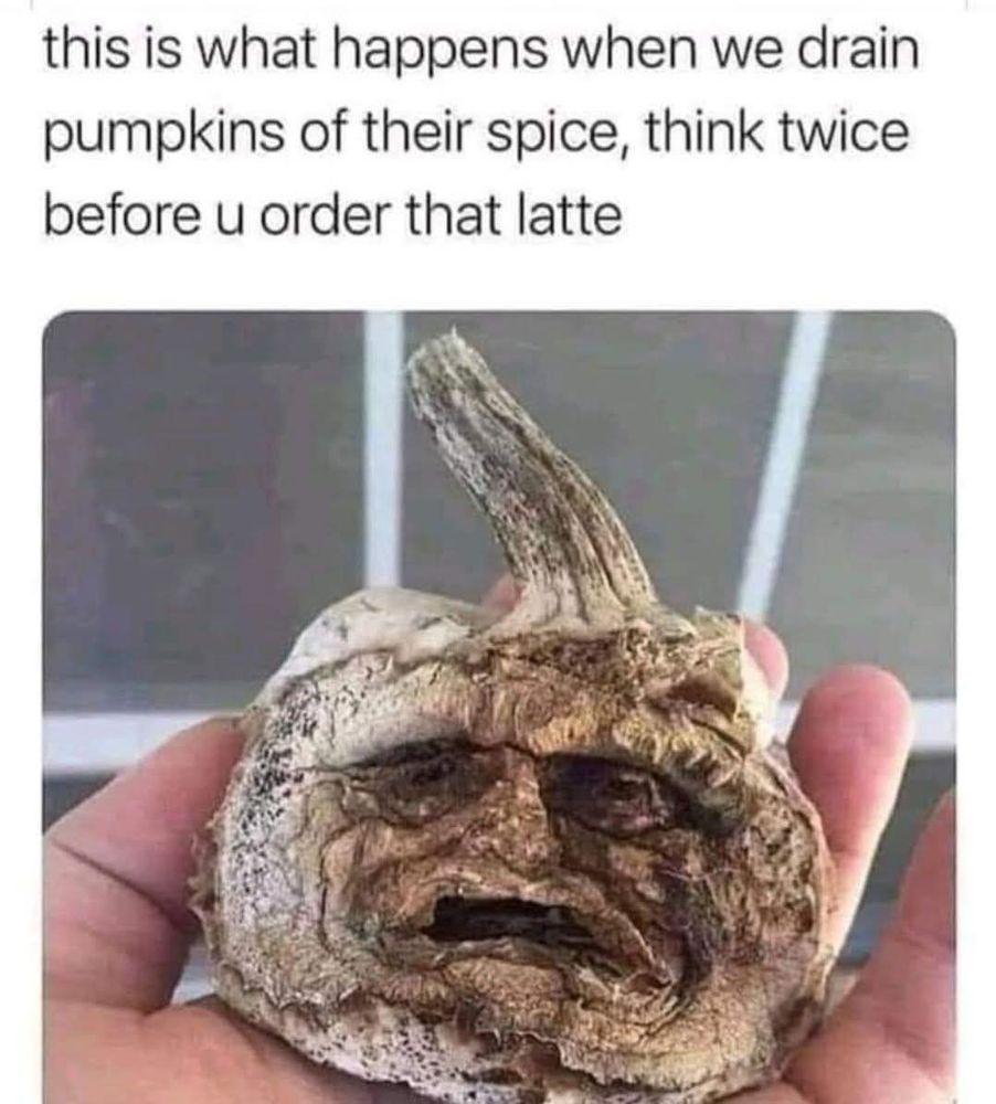 Photo of a rotted pumpkin captioned, 