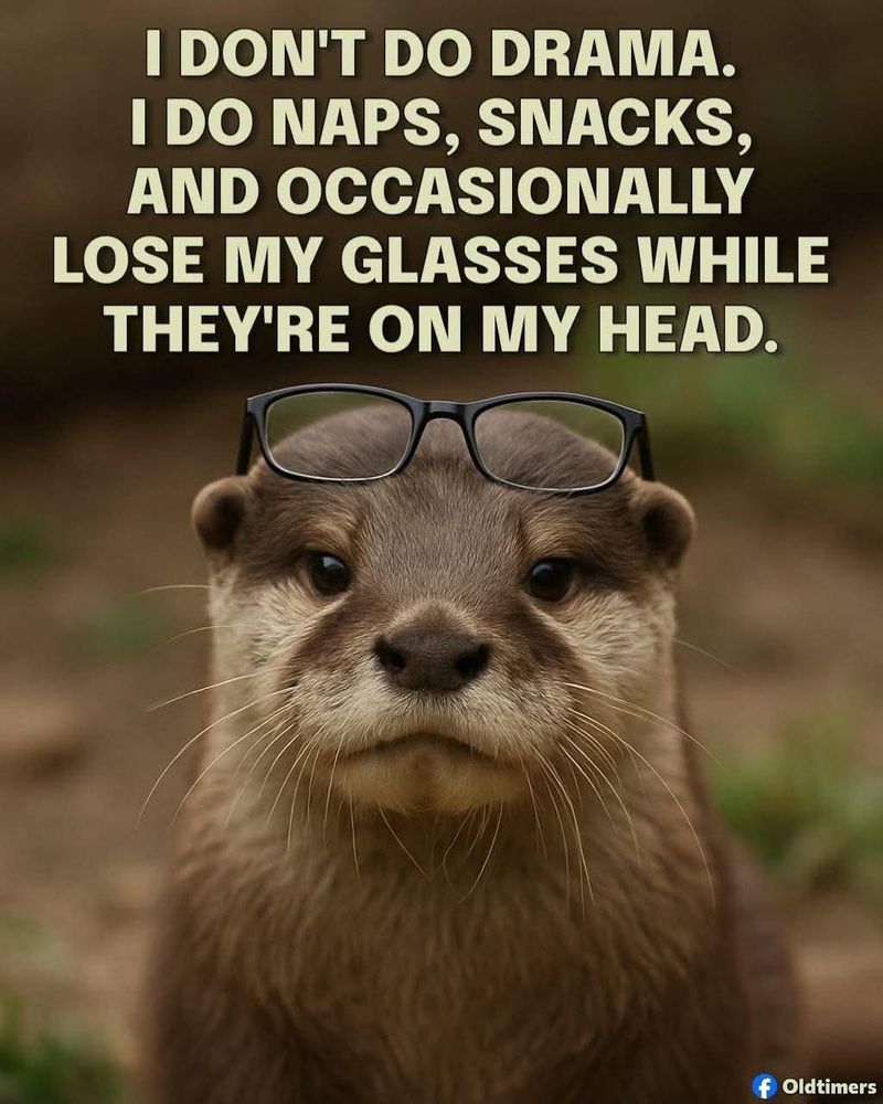 Picture of an otter with glasses on it's head captioned, 